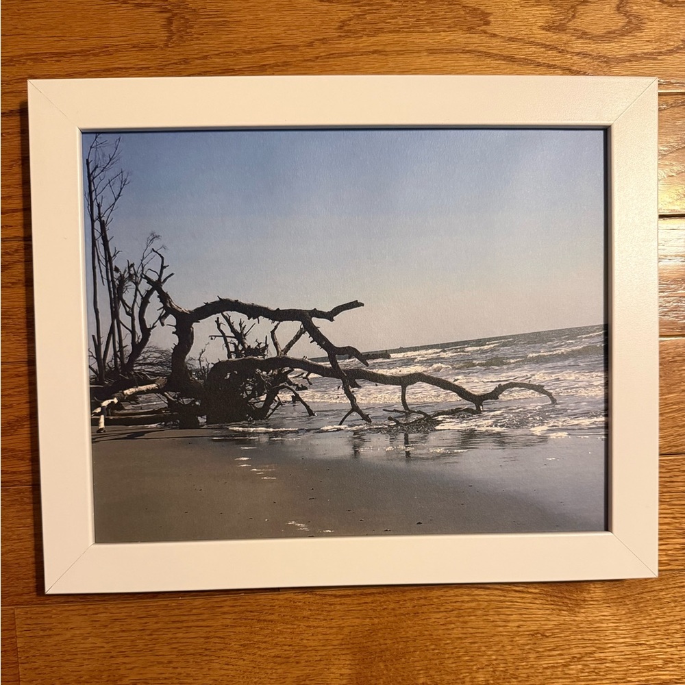 Capers Island South Carolina Boneyard Beach Driftwood Framed Photo